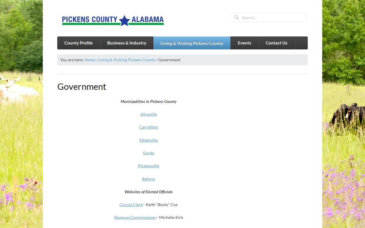 Pickens County court records and county government links