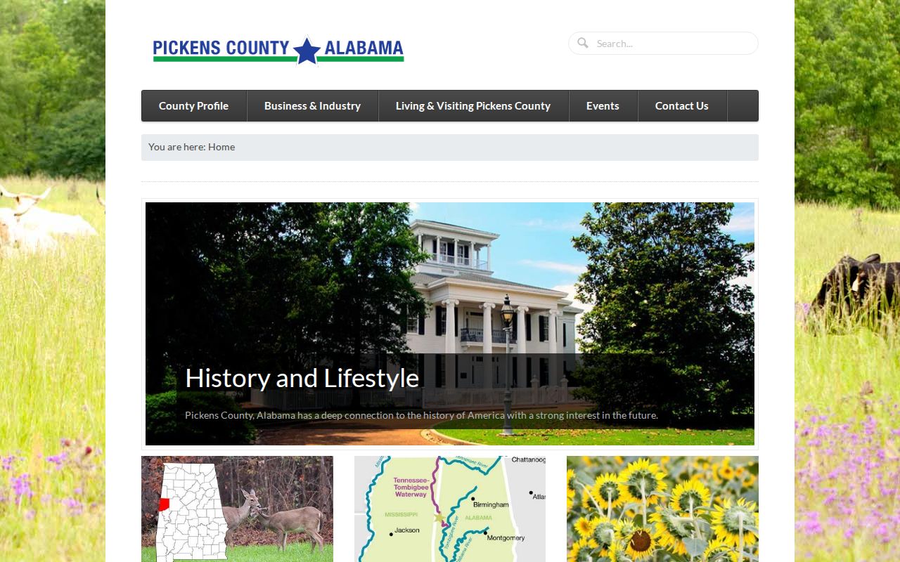 Pickens County court records and official county services