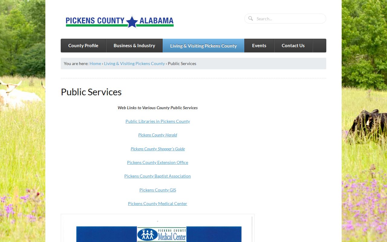 Pickens County probate records public services information
